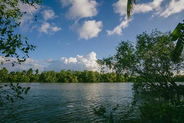 有人发现了一个细节 ｜ 糖心vlog：糖心视频，关于新入口的说法，看完我沉默了三秒？这条爆料你信几分