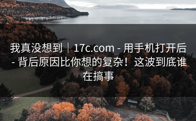 我真没想到｜17c.com - 用手机打开后 - 背后原因比你想的复杂！这波到底谁在搞事